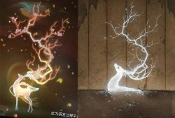 遇见神鹿最新的爆料视频,揭秘神秘事件背后的惊人真相