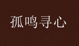 寻孤在线观看,在线见证生死相依的感人故事