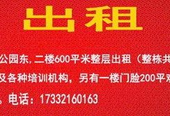 保定唐县爆料事件视频最新,真相与争议交织的舆论漩涡