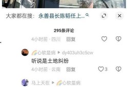 云南永善爆料案件视频,真相揭开，疑云散去