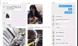 营销号爆料怎么剪视频,轻松打造热门内容