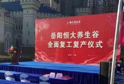 岳阳恒大最新爆料消息,揭秘项目神秘面纱背后的惊人真相
