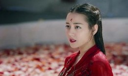 帝君爆料视频在线观看,揭秘幕后真相，带你领略精彩瞬间