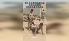 教官的爆料视频,爆料视频背后的真相与内幕