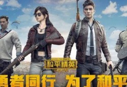 新瓜最新爆料和平精英,揭秘和平精英背后的秘密与精彩瞬间