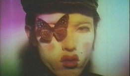 蝴蝶春梦在线观看,穿越时空的浪漫邂逅