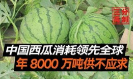 湖南吃瓜爆料是真的吗视频,湖南吃瓜爆料视频真实性揭秘