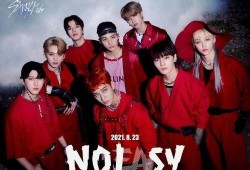 straykids在线观看,在线观看体验全解析