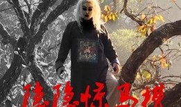 隐隐惊马槽在线观看,马槽之谜在线揭秘