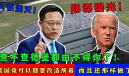 冠状病毒爆料视频,深度解析爆料视频背后的真相