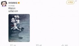 网友爆料商战视频,网友爆料视频深度解析