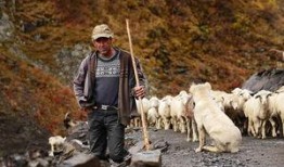 翻山越岭爆料新闻视频,揭秘新闻背后的惊险历程