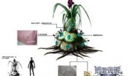 外星植物爆料视频,神秘视频曝光地球外生命迹象