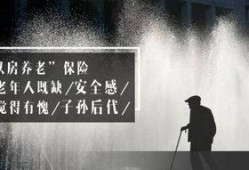 抵押300万在线观看,轻松了解贷款流程与技巧