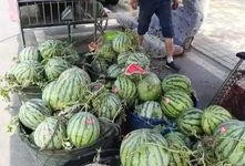 合肥吃瓜最新事件爆料是真的吗,真相揭秘还是无稽之谈？