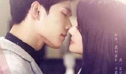 杨洋郑爽娱乐圈爆料,真相与传闻的交织