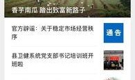 河北新闻线索爆料最新,最新爆料揭示城市绿化项目背后惊人真相