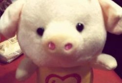 小猪崽子爆料娱乐圈,小猪崽子揭露惊天秘密