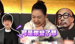 小s爆料视频大全,揭秘娱乐圈幕后真相