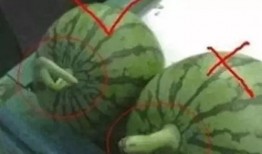 娱乐吃瓜起什么名字