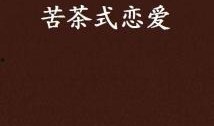 吃瓜苦茶小说免费阅读,揭开小说世界的神秘面纱