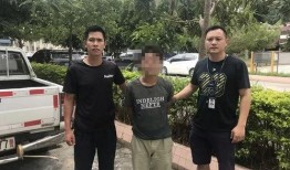 德庆最新爆料案件,惊人真相揭露背后黑幕