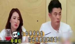 陈赫爆料视频在线观看,揭秘娱乐圈幕后真相