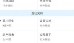 吴川最新爆料网,揭秘娱乐圈幕后真相