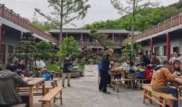 小鹿丢了爆料视频大全,揭秘网络爆料的背后真相