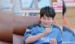 张远爆料吴雅婷视频合集,独家爆料合集大揭秘