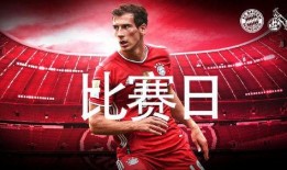 爆料者联盟法甲解析最新,爆料者联盟深度解析，揭秘赛场风云