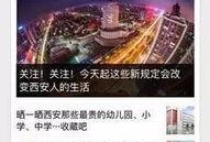 河北新闻线索爆料最新,最新爆料揭示城市绿化项目背后惊人真相
