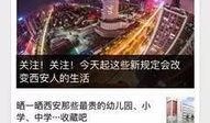 河北新闻线索爆料最新,最新爆料揭示城市绿化项目背后惊人真相