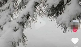 爆料今年冬天最冷视频,年度最冷天气视频揭秘！”