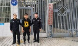 德庆最新爆料案件,惊人真相揭露背后黑幕