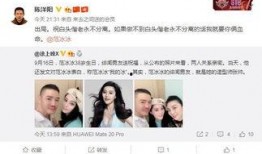 谭竹最新爆料新男朋友,神秘男友身份引网友热议！”