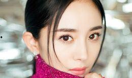 娱乐圈吃瓜明星小说推荐,瓜田里的璀璨星辰
