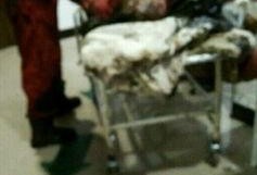 赵县爆料最新事件新闻,揭秘背后真相，引发社会关注