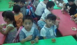 河南都市爆料幼儿园视频,惊人一幕引发社会关注