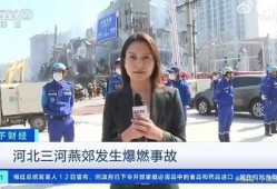 德国记者爆料视频大全最新,最新爆料视频大全震撼来袭！