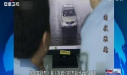 台湾迷途最新爆料新闻视频,揭秘事件背后惊人真相！”