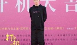 陈飞宇张婧仪娱乐大爆料,幕后故事与甜蜜瞬间