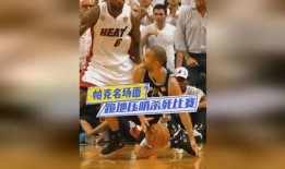 帕克最新爆料新闻内容,最新爆料事件背后的惊人真相