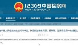 海丰最新爆料消息,揭秘事件背后惊人真相