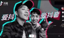 抖音爆料金吉鸟视频,金吉鸟视频背后的精彩故事