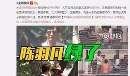 陈小冉爆料新闻视频大全,新闻视频大全揭秘幕后真相