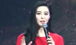范冰冰偷税爆料视频,揭秘娱乐圈税务乱象