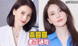 娱乐圈吃瓜明星小说推荐,瓜田里的璀璨星辰