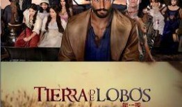 狼舞之地在线观看,探寻神秘狼族秘境的奇幻之旅