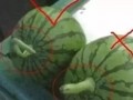 网红吃瓜名字大全搞笑,盘点那些搞笑又好听的昵称大盘点
